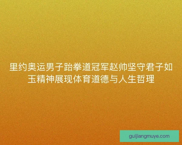 里约奥运男子跆拳道冠军赵帅坚守君子如玉精神展现体育道德与人生哲理